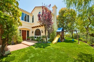 Chastain side yard and front